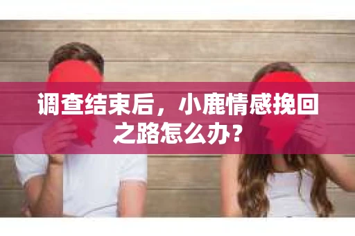 调查结束后,小鹿情感挽回之路怎么办? 调查结束后,小鹿情感挽回之路怎么办?