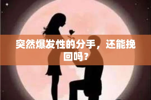 突然爆发性的分手,还能挽回吗? 突然爆发性的分手,还能挽回吗?