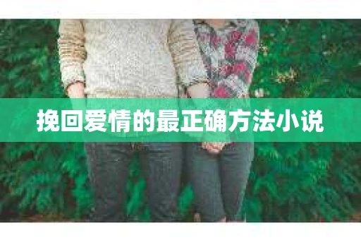 挽回爱情的最正确方法小说