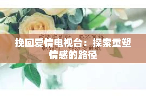 挽回爱情电视台：探索重塑情感的路径