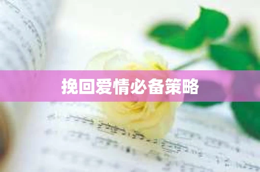 挽回爱情必备策略