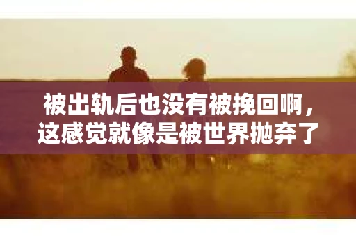 被出轨后也没有被挽回啊，这感觉就像是被世界抛弃了一样。我曾经也经历过这样的事情，那种心如刀割的痛，至今仍记忆犹新。今天，我想和大家聊聊这个话题，希望能给那些正在经历或者曾经经历过类似痛苦的人一些安慰和帮助。