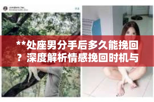 **处座男分手后多久能挽回？深度解析情感挽回时机与策略**