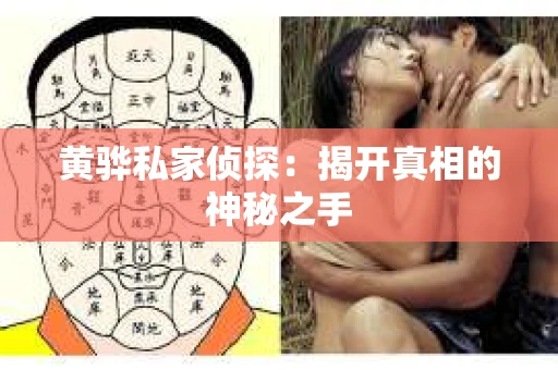 黄骅私家侦探：揭开真相的神秘之手