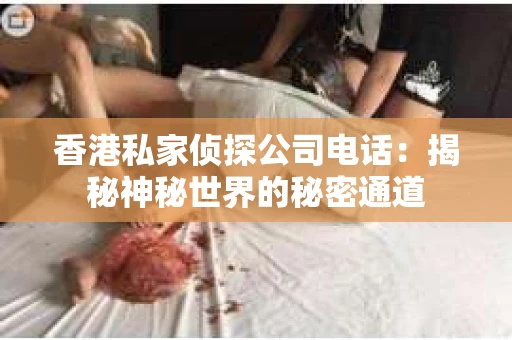 香港私家侦探公司电话：揭秘神秘世界的秘密通道