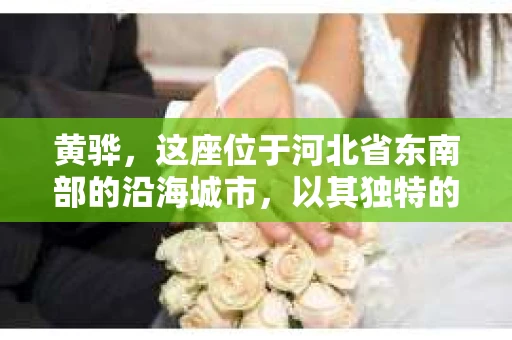 黄骅，这座位于河北省东南部的沿海城市，以其独特的地理位置和丰富的历史文化而闻名。然而，在这座城市中，还有一群人，他们以另一种方式默默守护着社会的公平与正义——私家侦探。今天，我们就来聊聊黄骅的私家侦探，看看他们是如何在这个城市中发挥作用的。