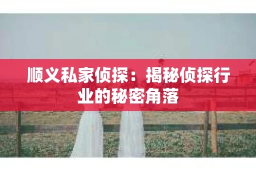 顺义私家侦探:揭秘侦探行业的秘密角落 顺义私家侦探:揭秘侦探行业的秘密角落