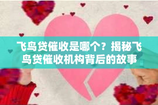 飞鸟贷催收是哪个？揭秘飞鸟贷催收机构背后的故事