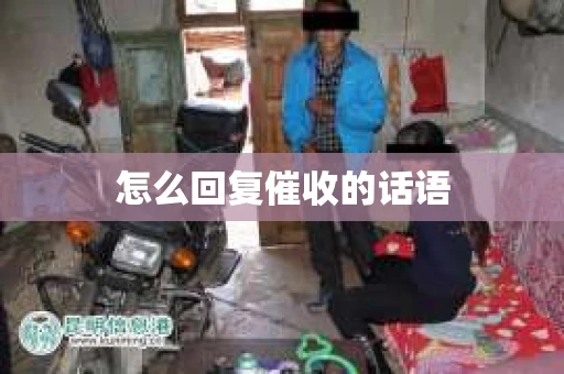 怎么回复催收的话语