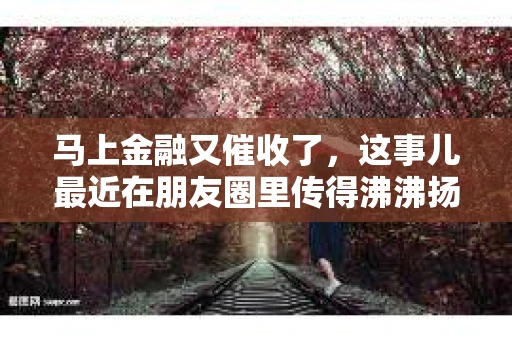 马上金融又催收了，这事儿最近在朋友圈里传得沸沸扬扬。说实话，我也有点好奇，这马上金融到底是怎么回事？催收又是怎么一回事？今天，我就来跟大家聊聊这个话题。