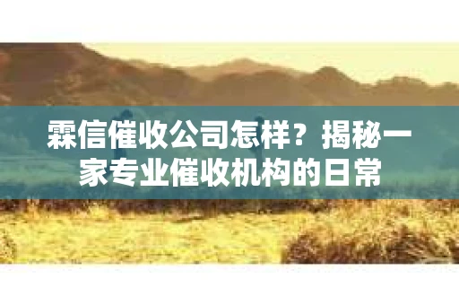 霖信催收公司怎样？揭秘一家专业催收机构的日常