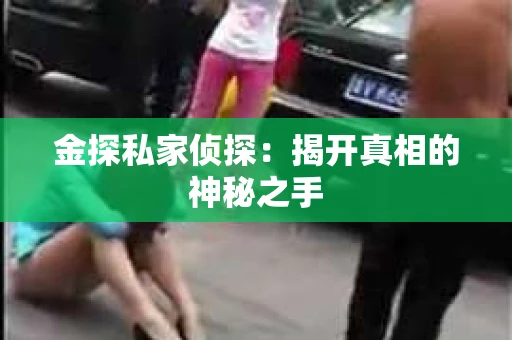 金探私家侦探：揭开真相的神秘之手