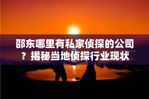 邵东哪里有私家侦探的公司？揭秘当地侦探行业现状
