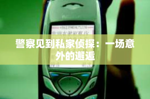 警察见到私家侦探：一场意外的邂逅