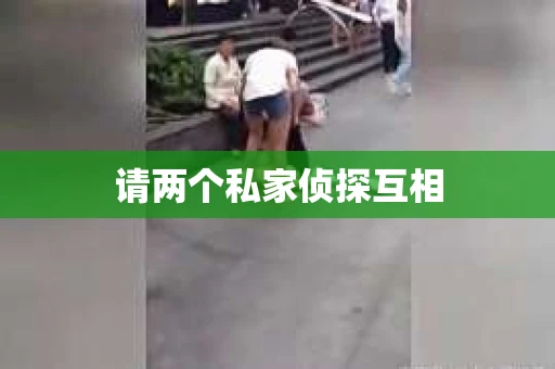 请两个私家侦探互相