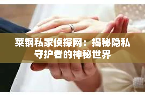 莱钢私家侦探网：揭秘隐私守护者的神秘世界