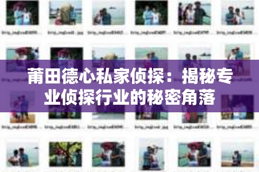 莆田德心私家侦探：揭秘专业侦探行业的秘密角落