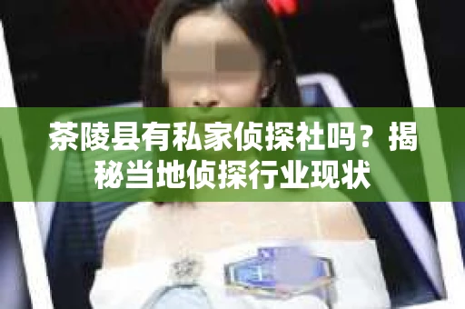 茶陵县有私家侦探社吗？揭秘当地侦探行业现状