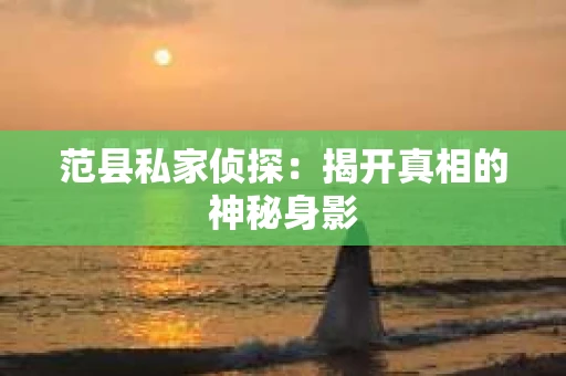 范县私家侦探：揭开真相的神秘身影