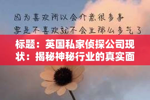 标题：英国私家侦探公司现状：揭秘神秘行业的真实面貌