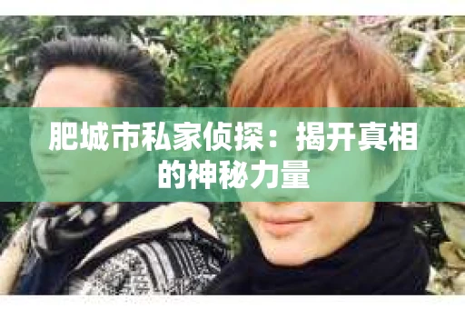 肥城市私家侦探：揭开真相的神秘力量