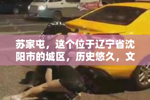 苏家屯，这个位于辽宁省沈阳市的城区，历史悠久，文化底蕴深厚。近年来，随着社会的发展，人们对于私家侦探的需求也逐渐增加。那么，苏家屯有私家侦探吗？今天，我们就来聊聊这个话题。