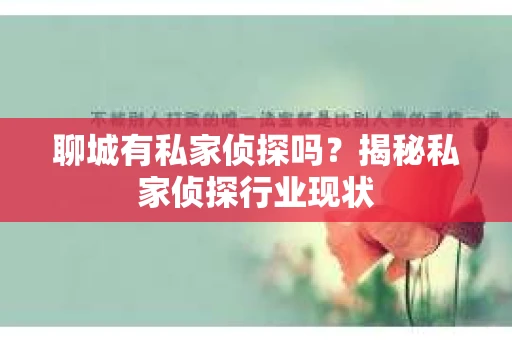 聊城有私家侦探吗？揭秘私家侦探行业现状
