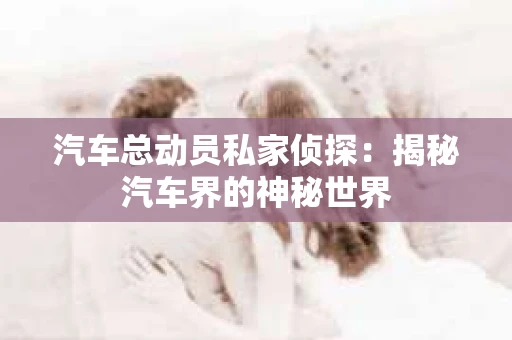 汽车总动员私家侦探：揭秘汽车界的神秘世界