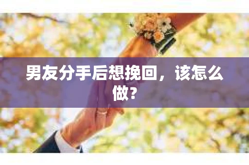 男友分手后想挽回,该怎么做? 男友分手后想挽回,该怎么做?