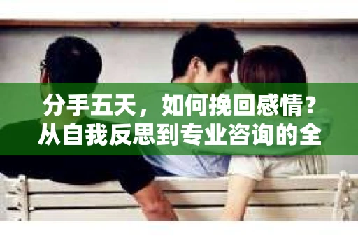 分手五天，如何挽回感情？从自我反思到专业咨询的全面解决方案