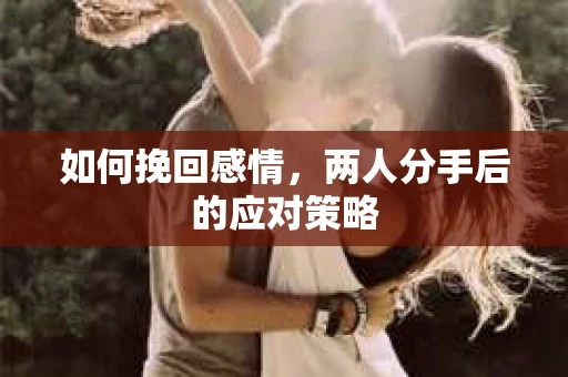 如何挽回感情,两人分手后的应对策略 如何挽回感情,两人分手后的应对策略