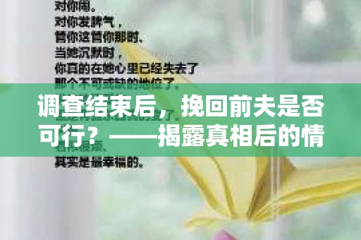 调查结束后，挽回前夫是否可行？——揭露真相后的情感疗愈与人生决策