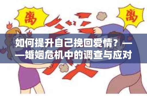 如何提升自己挽回爱情？——婚姻危机中的调查与应对策略