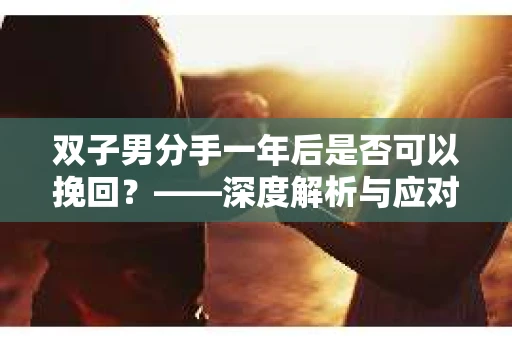 双子男分手一年后是否可以挽回？——深度解析与应对策略